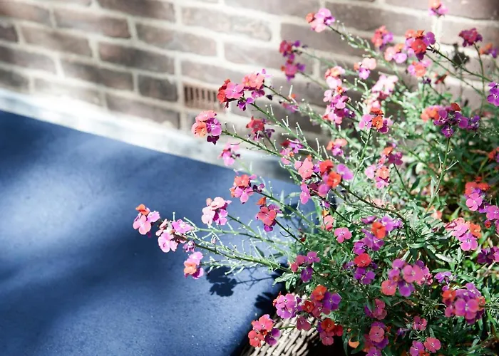 Boutique De Salon Lahey