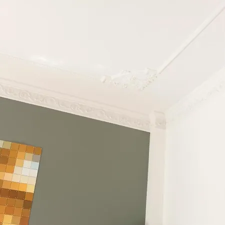 호텔 Boutique De Salon 헤이그