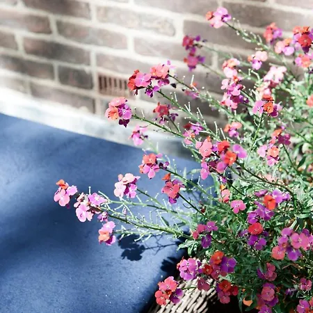 Boutique De Salon Den Haag